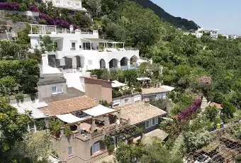 Rexer-Ischia-appartamento-in-villa-con-terrazzo-a-livello-panoramico-completamente-ristrutturato-Vista-aerea