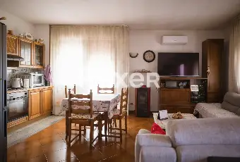 Rexer-Biancade-Porzione-di-bifamiliare-ristrutturata-con-giardino-e-mansarda-Altro
