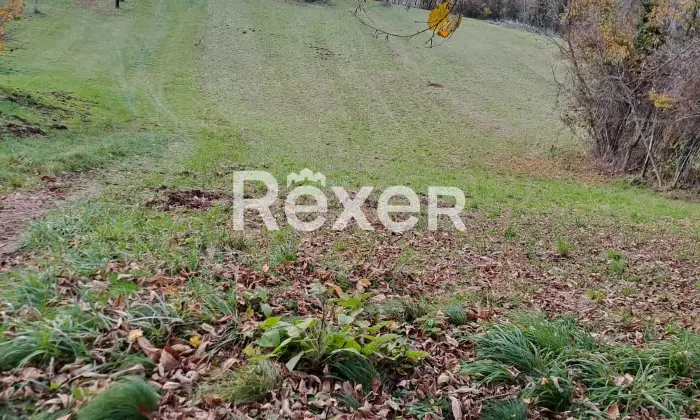 Rexer-Valdagno-Casale-rustico-con-due-abitazioni-indipendenti-e-terreno-di-ettari-Altro