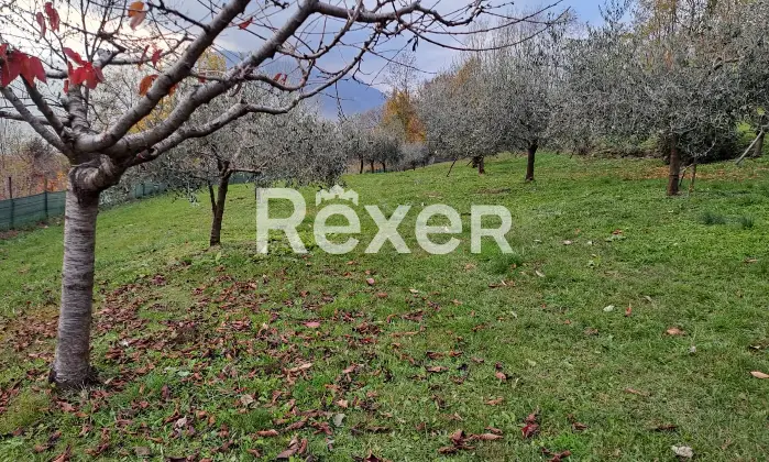 Rexer-Valdagno-Casale-rustico-con-due-abitazioni-indipendenti-e-terreno-di-ettari-Altro