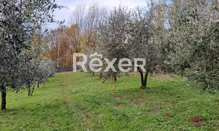 Rexer-Valdagno-Casale-rustico-con-due-abitazioni-indipendenti-e-terreno-di-ettari-Altro