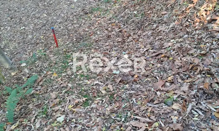 Rexer-Valdagno-Casale-rustico-con-due-abitazioni-indipendenti-e-terreno-di-ettari-Altro