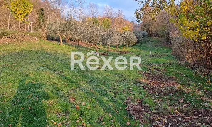 Rexer-Valdagno-Casale-rustico-con-due-abitazioni-indipendenti-e-terreno-di-ettari-Altro