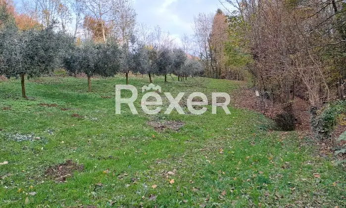 Rexer-Valdagno-Casale-rustico-con-due-abitazioni-indipendenti-e-terreno-di-ettari-Altro