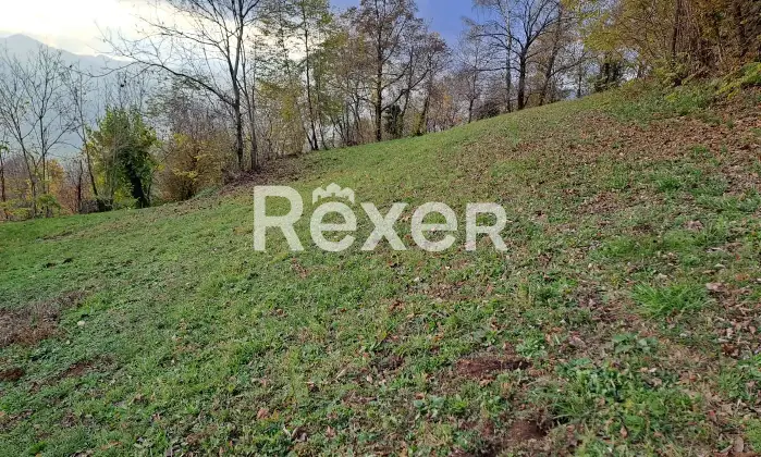 Rexer-Valdagno-Casale-rustico-con-due-abitazioni-indipendenti-e-terreno-di-ettari-Altro