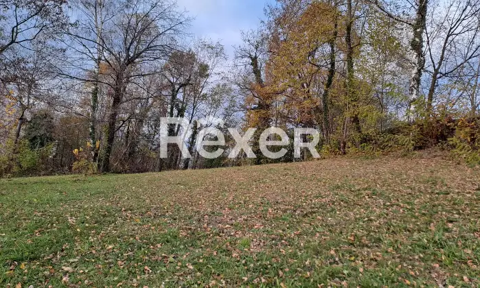 Rexer-Valdagno-Casale-rustico-con-due-abitazioni-indipendenti-e-terreno-di-ettari-Altro