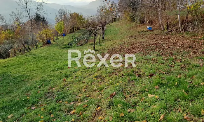 Rexer-Valdagno-Casale-rustico-con-due-abitazioni-indipendenti-e-terreno-di-ettari-Altro