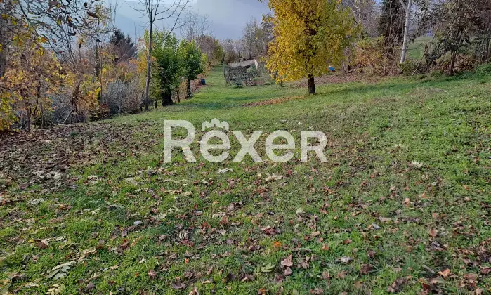 Rexer-Valdagno-Casale-rustico-con-due-abitazioni-indipendenti-e-terreno-di-ettari-Altro