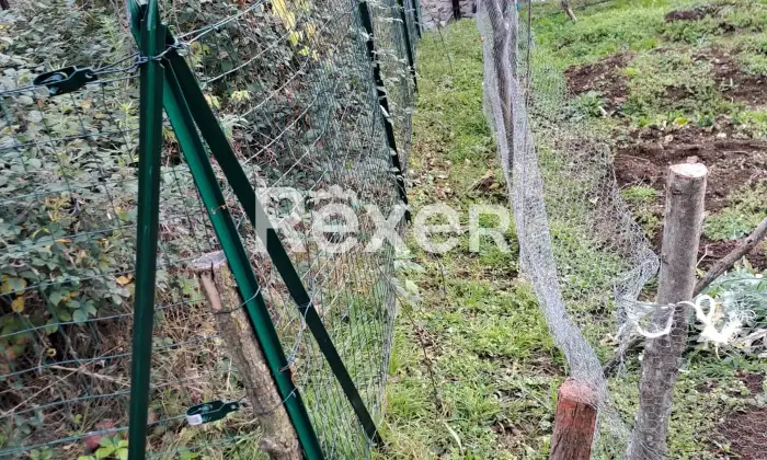 Rexer-Valdagno-Casale-rustico-con-due-abitazioni-indipendenti-e-terreno-di-ettari-Altro