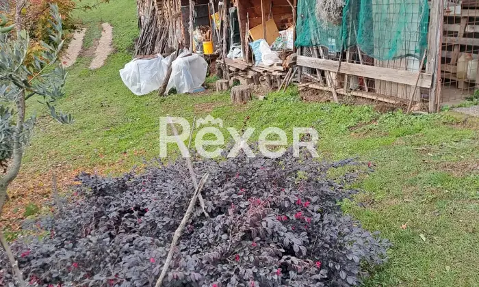 Rexer-Valdagno-Casale-rustico-con-due-abitazioni-indipendenti-e-terreno-di-ettari-Altro