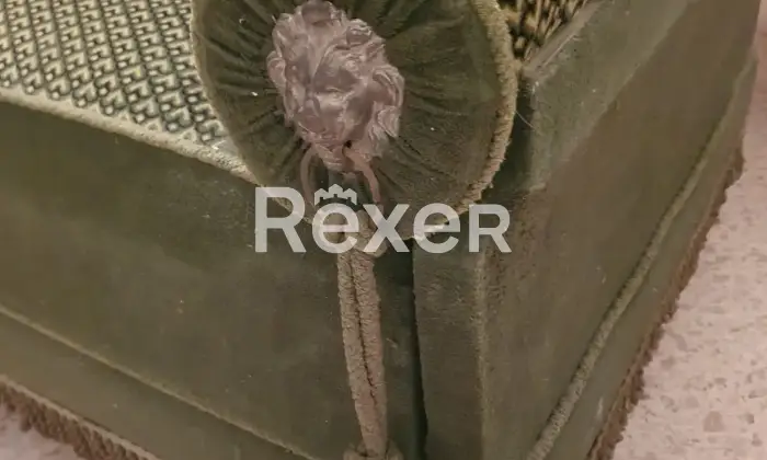 Rexer-Terre-Roveresche-Palazzo-dEpoca-nel-Cuore-Storico-di-Terre-Roveresche-Altro