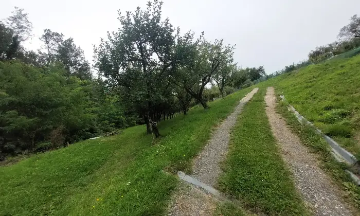 Rexer-Fivizzano-TerrenoCasa-in-campagna-in-Lunigiana-Coltivazione