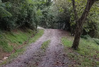 Rexer-Fivizzano-TerrenoCasa-in-campagna-in-Lunigiana-Coltivazione