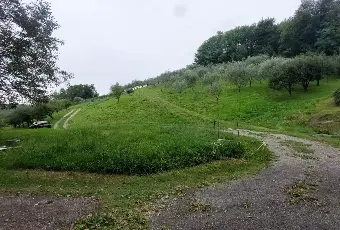 Rexer-Fivizzano-TerrenoCasa-in-campagna-in-Lunigiana-Coltivazione