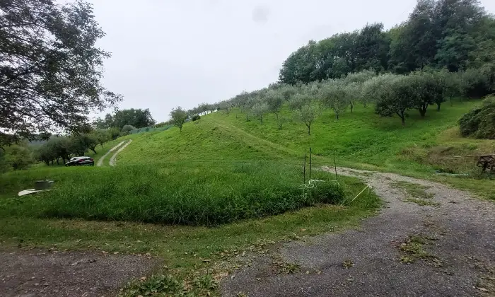 Rexer-Fivizzano-TerrenoCasa-in-campagna-in-Lunigiana-Coltivazione