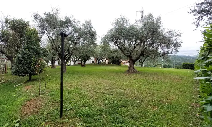 Rexer-Fivizzano-TerrenoCasa-in-campagna-in-Lunigiana-Giardino