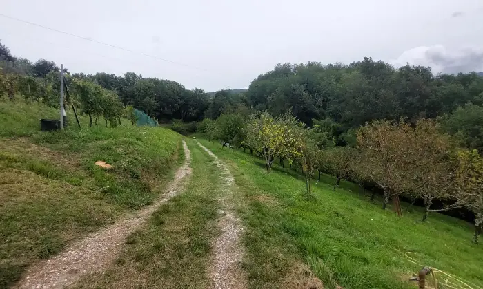 Rexer-Fivizzano-TerrenoCasa-in-campagna-in-Lunigiana-Terrazzo