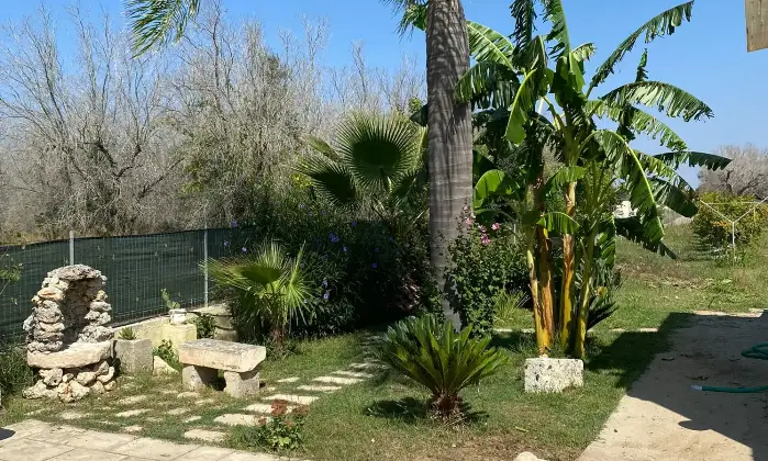 Rexer-Supersano-TERRENO-AGRICOLO-DI-MQ-CON-ALBERI-DI-MELOGRANO-PRODUTTIVI-E-DEPOSITO-AGRICOLO-DI-MQ-Altro