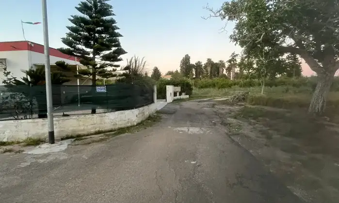 Rexer-Supersano-TERRENO-AGRICOLO-DI-MQ-CON-ALBERI-DI-MELOGRANO-PRODUTTIVI-E-DEPOSITO-AGRICOLO-DI-MQ-Altro