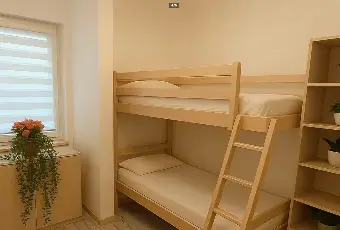 Rexer-Paluzza-Appartamento-Ristrutturato-in-Centro-Paese-Prezzo-Ribassato-Altro