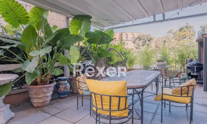 Rexer-Roma-Luminoso-appartamento-con-terrazza-Altro