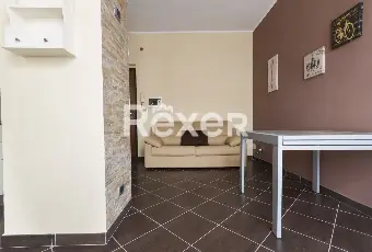 Rexer-Grugliasco-Monolocale-con-terrazzo-Altro