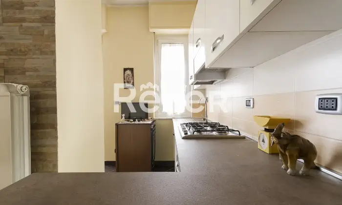Rexer-Grugliasco-Monolocale-con-terrazzo-Altro