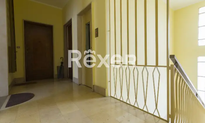 Rexer-Grugliasco-Monolocale-con-terrazzo-Altro