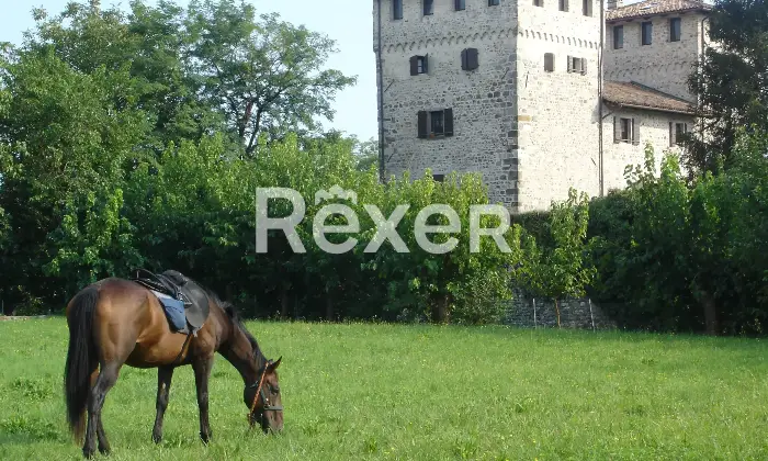 Rexer-Cassacco-Castello-di-Cassacco-Altro