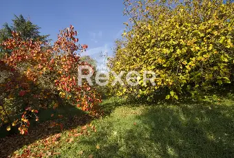 Rexer-Grazzano-Badoglio-Villa-indipendente-di-ampia-metratura-con-giardino-e-frutteto-Altro
