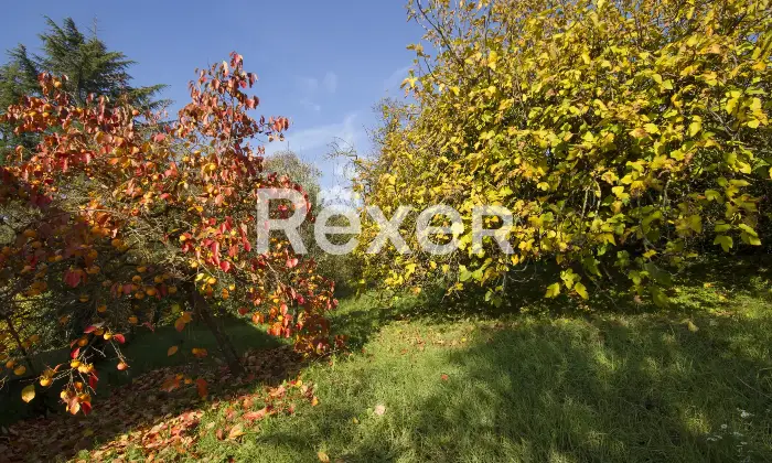 Rexer-Grazzano-Badoglio-Villa-indipendente-di-ampia-metratura-con-giardino-e-frutteto-Altro