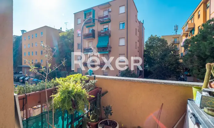 Rexer-Bologna-Appartamento-con-balconi-e-cantina-Altro