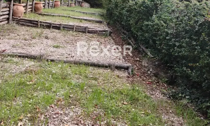 Rexer-Rocca-Priora-Rocca-Priora-Terreno-Agricolo-mq-con-Rustico-e-Servizi-Altro
