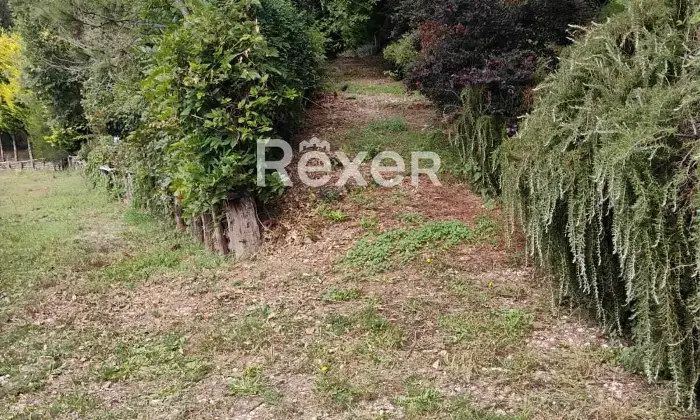 Rexer-Rocca-Priora-Rocca-Priora-Terreno-Agricolo-mq-con-Rustico-e-Servizi-Altro