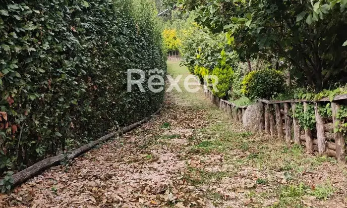 Rexer-Rocca-Priora-Rocca-Priora-Terreno-Agricolo-mq-con-Rustico-e-Servizi-Altro