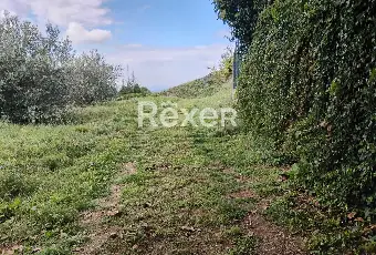 Rexer-Rocca-Priora-Rocca-Priora-Terreno-Agricolo-mq-con-Rustico-e-Servizi-Altro