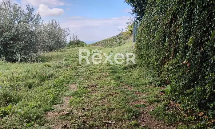 Rexer-Rocca-Priora-Rocca-Priora-Terreno-Agricolo-mq-con-Rustico-e-Servizi-Altro