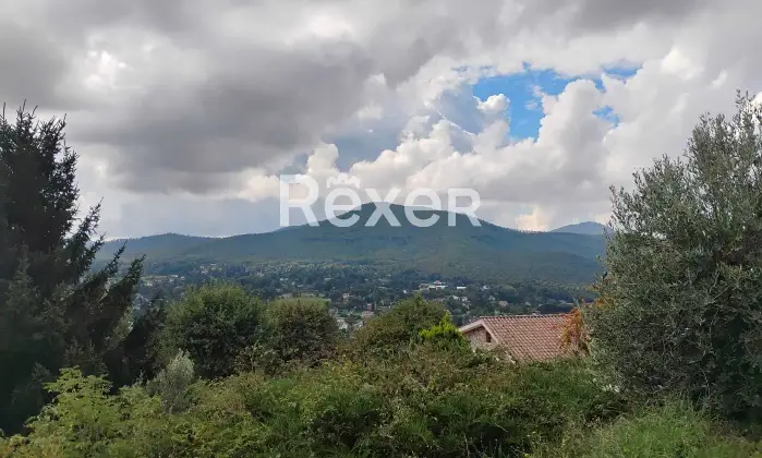 Rexer-Rocca-Priora-Rocca-Priora-Terreno-Agricolo-mq-con-Rustico-e-Servizi-Altro