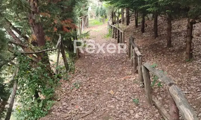 Rexer-Rocca-Priora-Rocca-Priora-Terreno-Agricolo-mq-con-Rustico-e-Servizi-Altro