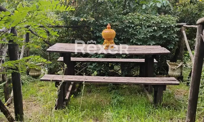 Rexer-Rocca-Priora-Rocca-Priora-Terreno-Agricolo-mq-con-Rustico-e-Servizi-Altro