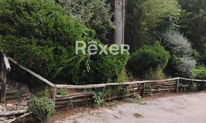 Rexer-Rocca-Priora-Rocca-Priora-Terreno-Agricolo-mq-con-Rustico-e-Servizi-Altro