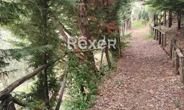 Rexer-Rocca-Priora-Rocca-Priora-Terreno-Agricolo-mq-con-Rustico-e-Servizi-Altro