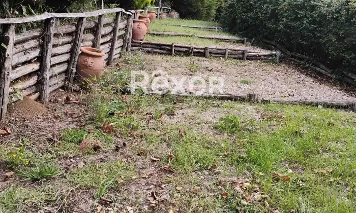Rexer-Rocca-Priora-Rocca-Priora-Terreno-Agricolo-mq-con-Rustico-e-Servizi-Altro