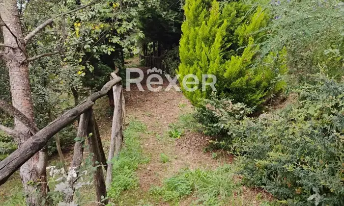 Rexer-Rocca-Priora-Rocca-Priora-Terreno-Agricolo-mq-con-Rustico-e-Servizi-Altro