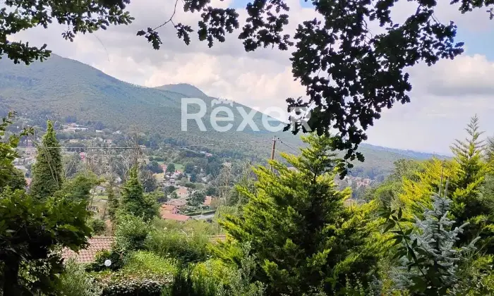 Rexer-Rocca-Priora-Rocca-Priora-Terreno-Agricolo-mq-con-Rustico-e-Servizi-Altro