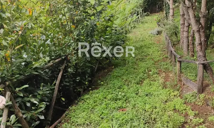 Rexer-Rocca-Priora-Rocca-Priora-Terreno-Agricolo-mq-con-Rustico-e-Servizi-Altro