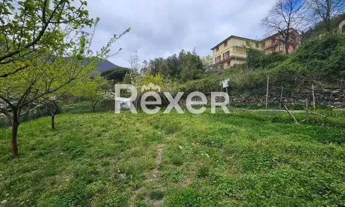 Rexer-Neirone-Ultimo-piano-in-Trifamiliare-con-terrazza-e-ampio-terreno-Altro