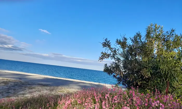 Rexer-SantAndrea-Apostolo-Dello-Ionio-Marina-Elegante-bilocale-in-classe-A-a-SantAndrea-sullo-Ionio-tra-mare-e-natura-Altro