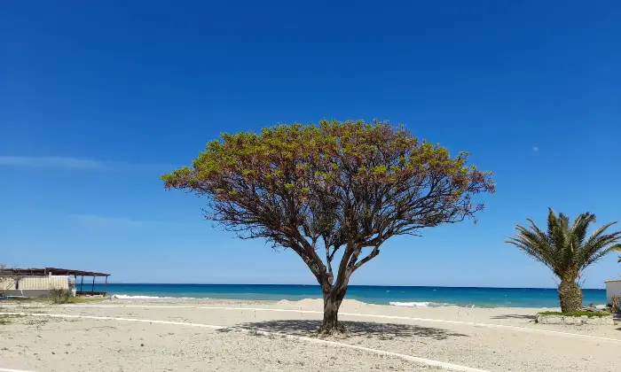 Rexer-SantAndrea-Apostolo-Dello-Ionio-Marina-Elegante-bilocale-in-classe-A-a-SantAndrea-sullo-Ionio-tra-mare-e-natura-Altro