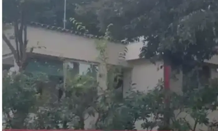 Rexer-Lido-delle-Nazioni-Villa-unifamiliare-viale-Principato-di-Monaco-Lido-delle-Nazioni-Comacchio-Altro